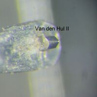 Cut Van Den Hul II